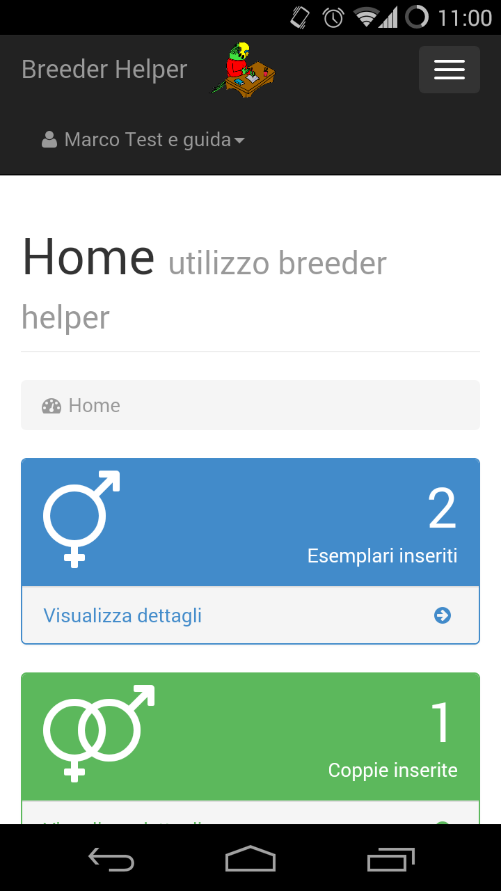 Versione smartphone home